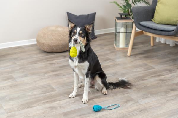 Trixie Jumper am Seil Hundespielzeug